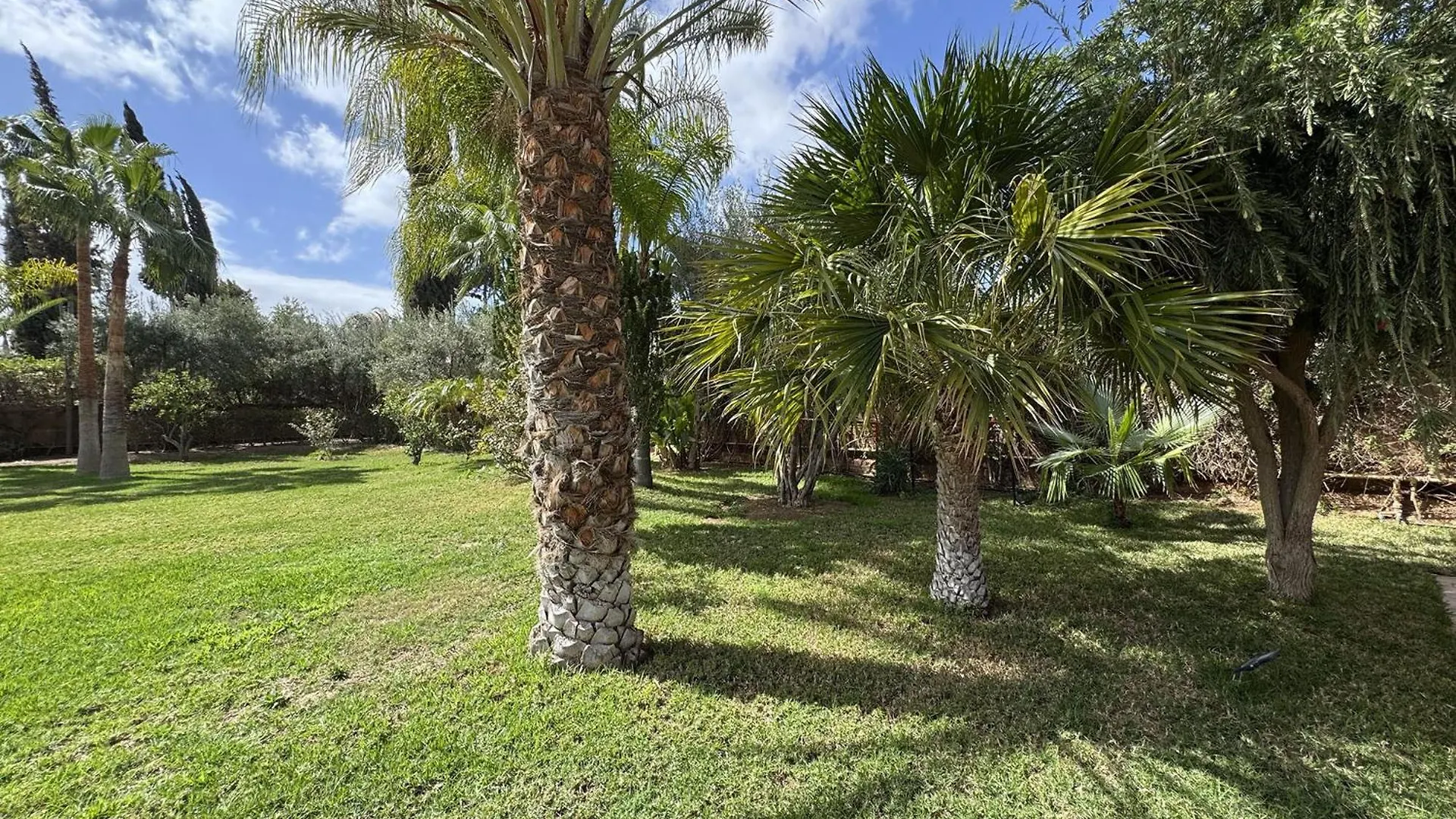 Villa Jiline Marakeş