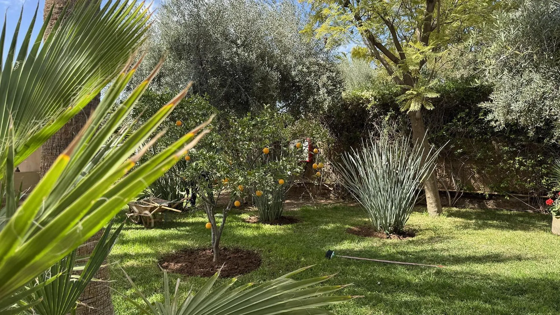 Villa Jiline Marakeş Fas